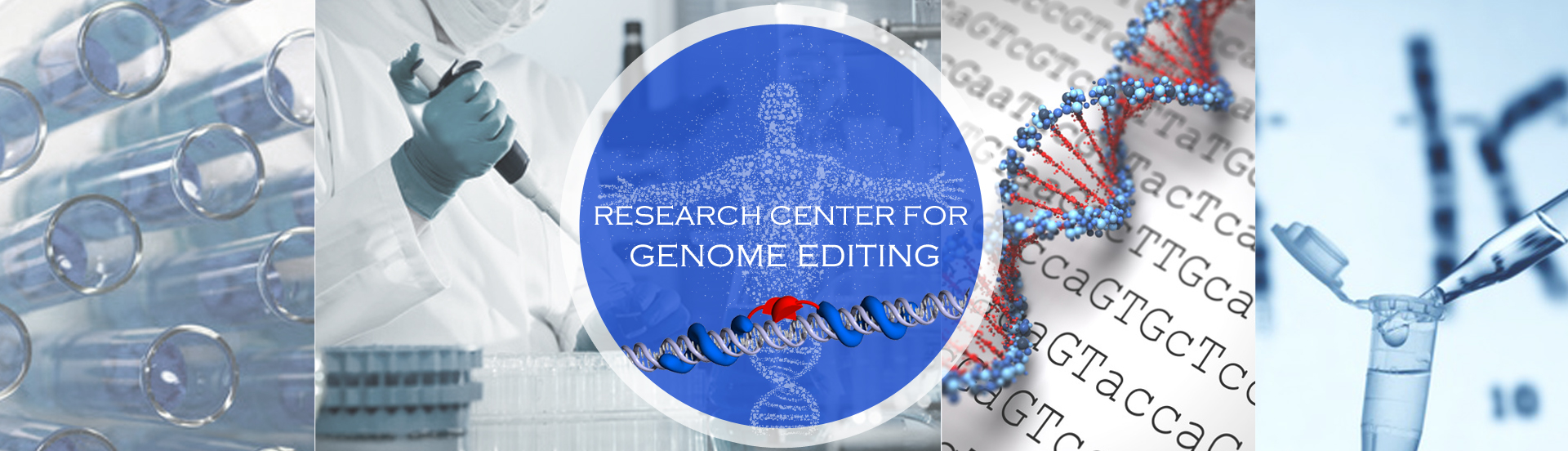 Research Center for Genome Editing