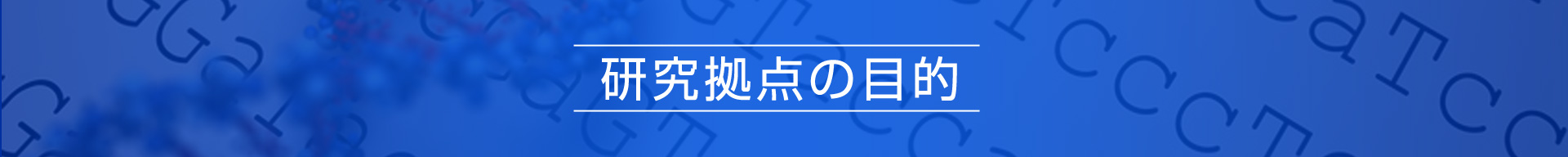 研究拠点の目的