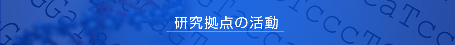 研究拠点の活動