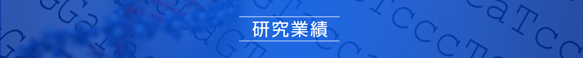 研究業績