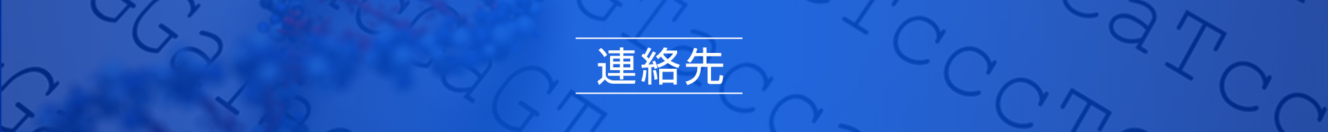 連絡先