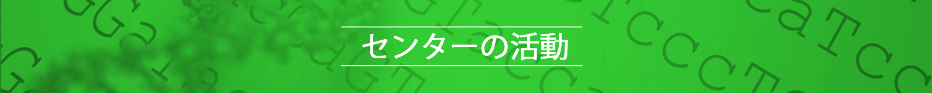 研究拠点の活動