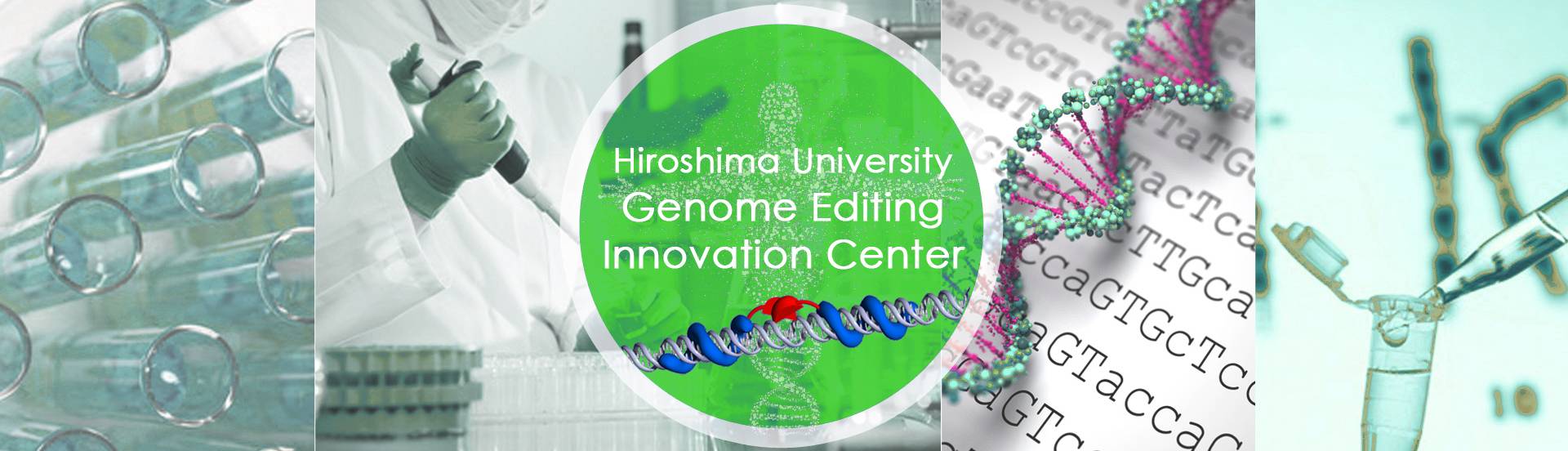 Research Center for Genome Editing