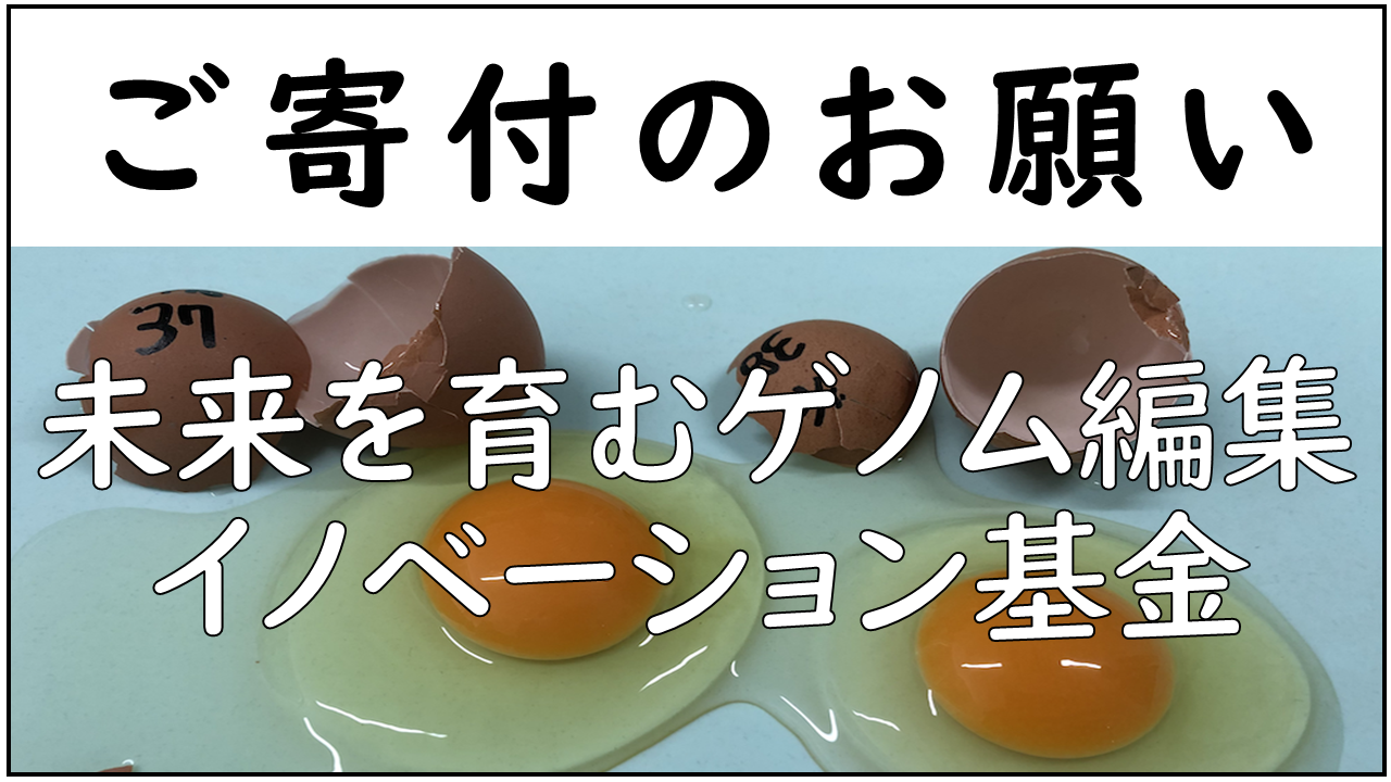 基金寄附お願い